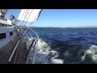 Sailing onboard a Farr 44 Sailboat with Ian Van Tuyl California Yacht Broker