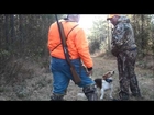 Deer Hunting with Dogs Southampton County Va.