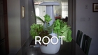 ROOT by Ohneka Farms - a smart countertop garden
