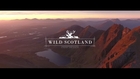 Wild Scotland