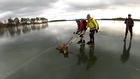 Vildsvinscurling / Wild boar curling