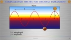 Complementary Spectra in Phototherapy - Basic principles and practical applications.