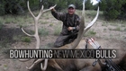 Bowhunting Trophy Elk in New Mexico with Guy Eastman