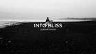 INTO BLISS - Jordan Rodin