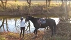 Horse Having the Best Time