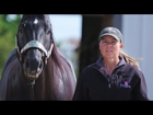 Stories of Greatness: Michele McLeod, Barrel Racing | Purina Animal Nutrition