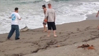 Man Drags Shark Out of Water For Some Photos