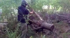Guy Runs into Forest after Falling off Tree