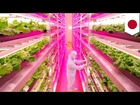 Shigeharu Shimamura teams up with GE to grow lettuce indoors faster, cleaner and cheaper