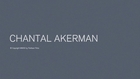 Interview with Chantal Akerman