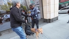 NYC based YouTube star and other passers-by confront man abusing his dog in public and get him arrested