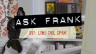 Ask Frank - Advice for Dogs. By a Dog. - 017#: Long Tail Spam