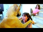 SISTERS vs GIANT DOG!