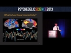 Brain Imaging Studies with Psilocybin and MDMA - Robin Carhart-Harris