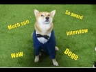 Bodhi @MensWearDog at the World Dog Awards on The CW Green Carpet #CelebrityDogs #DogTales