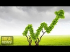 Towards a Green Economy: Green Growth or No Growth? - Robert Pollin on RAI (5/9)
