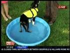 07 10 13 WTTE TV28 8AM Your Pets and the Hot Temperatures