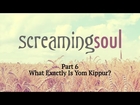 What Exactly Is Yom Kippur? - Screaming Soul P6 - Rabbi Manis Friedman