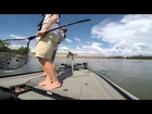 Big Head Carp While Striper Fishing