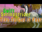 WoW | Swift Springstrider | Tips and Tricks for Fast Eggs