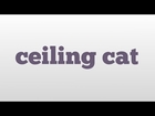ceiling cat meaning and pronunciation
