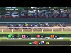 American Pharoah wins the Triple Crown - 2015 Belmont Stakes (G1)