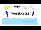 The water cycle for kids : funza Academy Science Videos