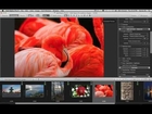 What's new in DxO Optics Pro 8 ? | Webinar