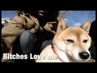 Bitches Love Me (Female Dogs Love Sherwynn) - Dog Rescue - Inside Hart