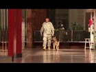 Hero Dog Bino (PTSD Therapy Dog)