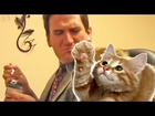 Kitten, Cat, Cats, Furry Fun, Funny!  Kitty Commercial 4 Fur-Kids