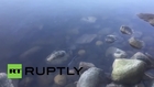 Canada: Oil spill seeps in Vancouver's English Bay