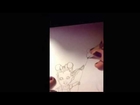 Time Lapse Drawing of Elsa