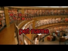 What does pet name mean?