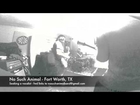 No Such Animal - Seeking a vocalist - Fort Worth, TX