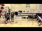 M-Volleyball vs Guelph 2/1/2014