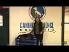 Dog Training In Maryland