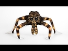 Naked Contortionist Models Transformed Into Animals By Body Paint