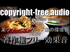 [Working BGM / Free Download]  Sound of coffee shop in Japanｆ