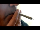 How Legal Marijuana Is Working in Colorado