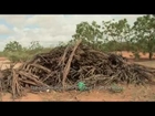 Society Documentary - Murders, Assessinations and Killings in Somalia  [HD]