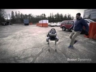 Robot Lives Matter (ASPCA Commercial)