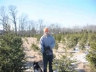 Weather Patterns Effect Tree Selection