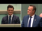 Australian MP proposes to partner during same-sex marriage debate in parliament