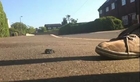 Solar Powered Toy Car Goes It's Own Way