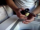 Il réanime un oiseau avec un massage cardique (Brésil)