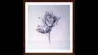 Learn How to Draw a Stemmed Rose Step by Step