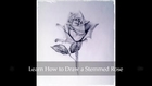 Learn How to draw a stemmed rose step by step. Final / Part