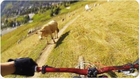 Dirt Biker Gets Hit by a Cow | Moo-ve Over