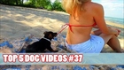 TOP 5 DOG VIDEOS #37.